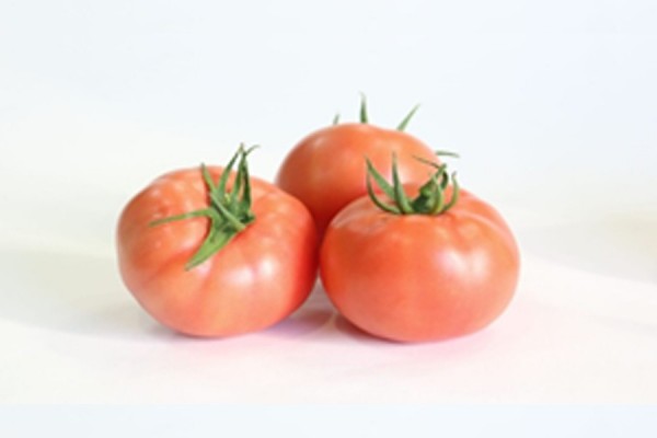 ESPECIALIDADES TOMATO SEEDS